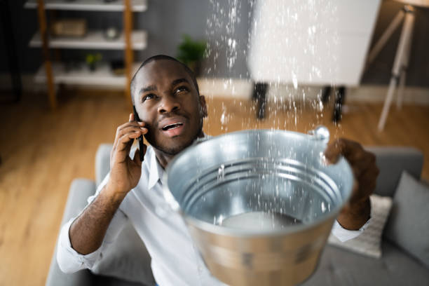 Trusted Daisetta, TX Water damage restoration Experts
