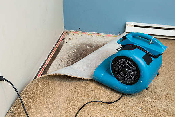 Professional Water damage restoration in Daisetta, TX